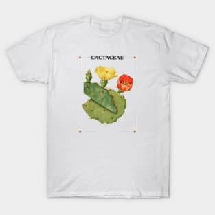 Cactaceae T-Shirt